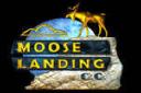 Golden Tee tips tricks hints shortcuts golf game 2006 2007 2008 2009 live arcade courses moose landing