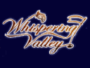 Golden Tee tips tricks hints shortcuts golf game 2007 2008 live arcade 2006 whispering valley course