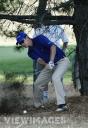 Golden Tee tips tricks Hitting under trees