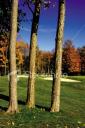 Golden Tee tips tricks Hitting through trees