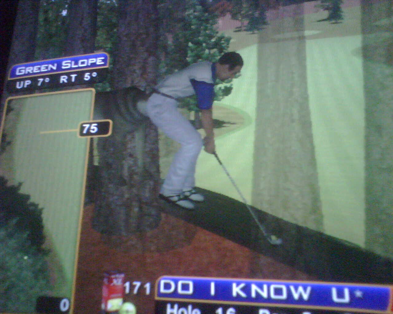 Golden Tee tips tricks hints shortcuts golf game 2007 2008 2009 live arcade pictures animals