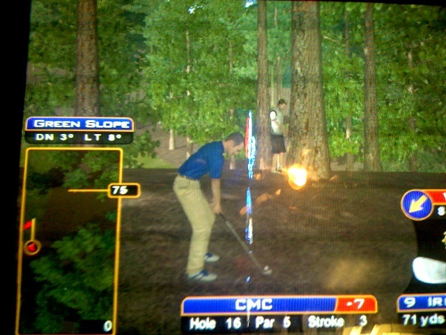 Golden Tee tips tricks hints shortcuts golf game 2007 2008 2009 live arcade pictures animals pisser