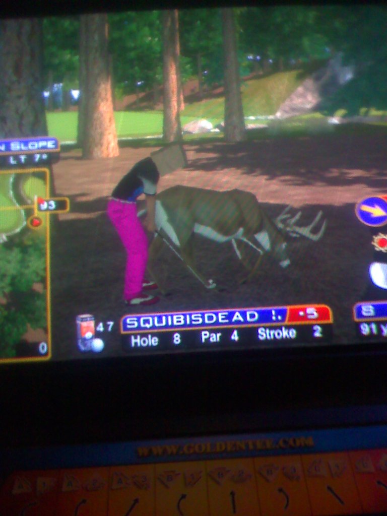 Golden Tee tips tricks hints shortcuts golf game 2007 2008 2009 live arcade pictures animals