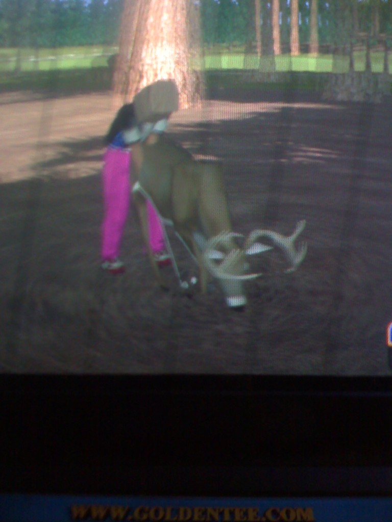 Golden Tee tips tricks hints shortcuts golf game 2007 2008 2009 live arcade pictures animals