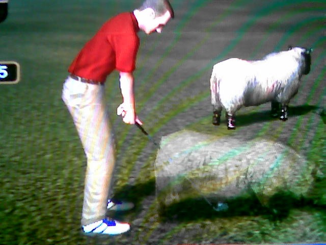 Golden Tee tips tricks hints shortcuts golf game 2007 2008 2009 live arcade pictures animals