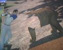 Golden Tee tips tricks hints shortcuts golf game 2007 2008 2009 live arcade pictures animals 