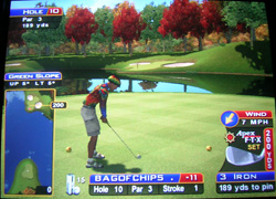 sw_10 Sunny Wood Hole 10
