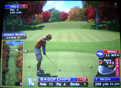 sw_11 Sunny Wood Hole 11
