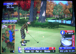sw_12 Sunny Wood Hole 12