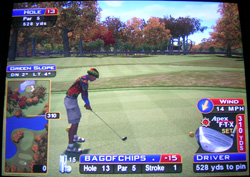 sw_13 Sunny Wood Hole 13