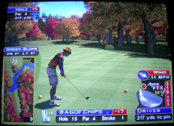 sw_15 Sunny Wood Hole 15