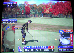 sw_16 Sunny Wood Hole 16