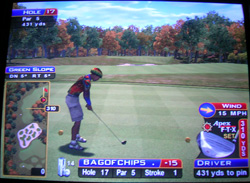 sw_17 Sunny Wood Hole 17