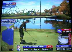sw_18 Sunny Wood Hole 18