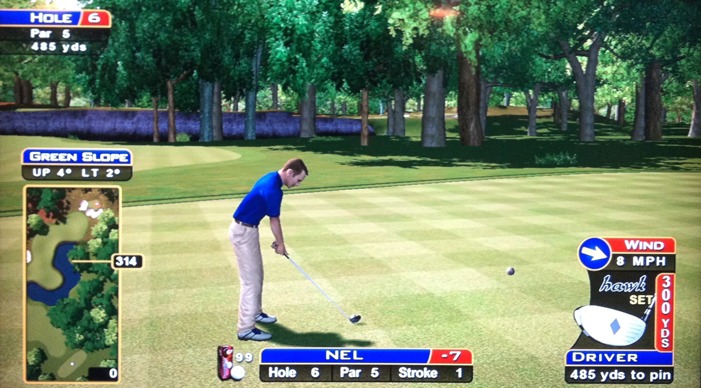 sw_6 Sunny Wood Hole 6